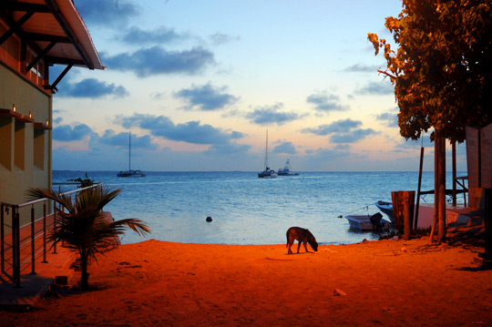 Los Roques