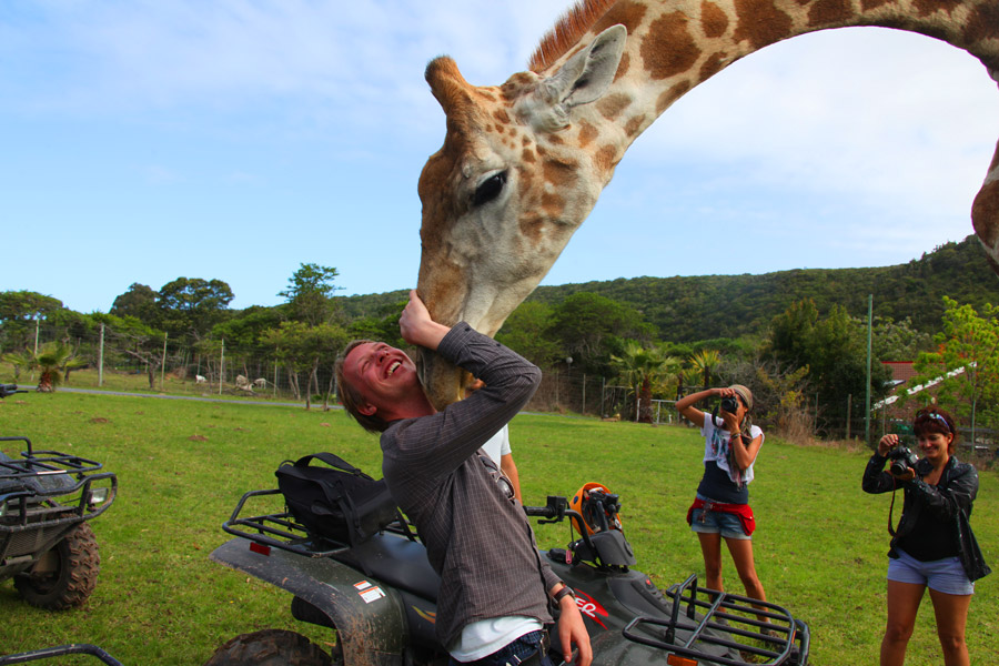 Interação com girafa!