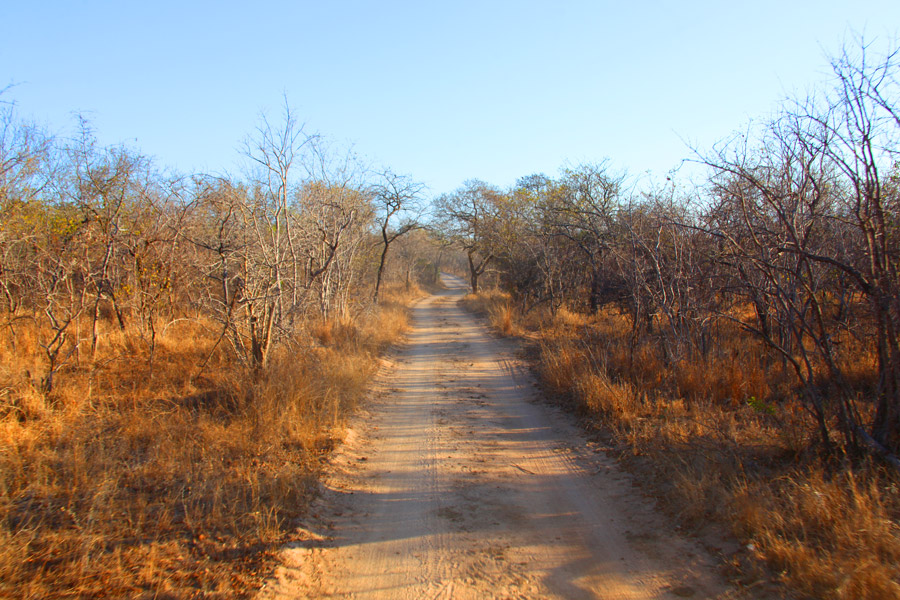 Animais na África do Sul