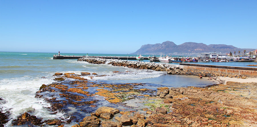 Muizenberg tem surfistas, tubarões e hipsters!