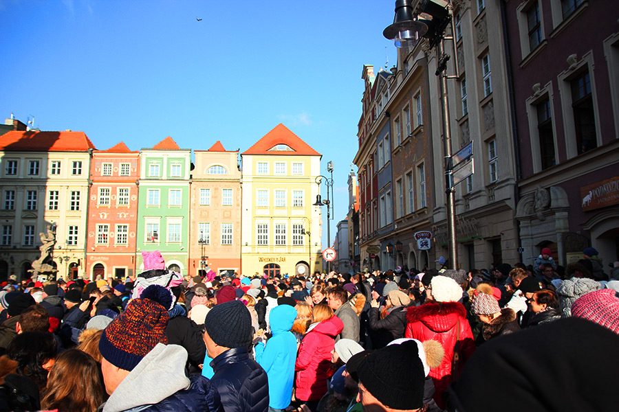 Bodes de Poznan