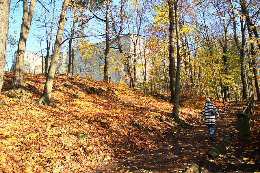 Fortaleza de Königstein